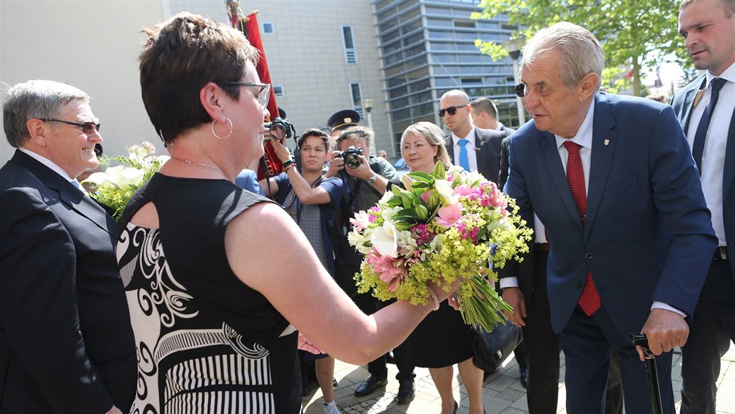 Demonstrace jsou proti výsledku svobodných voleb, vláda vydrží, řekl Zeman