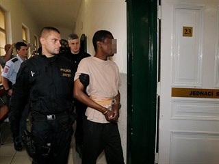Cizinec, který je podezřelý ze znásilnění 16leté dívky v Terezíně. (20. června...