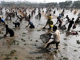 Indické jezero Goroimari se rybái zaplní v lednu, vercajk mají  pestrý, od...