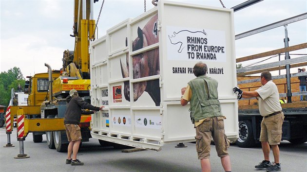 Transport nosoroc ze Dvora Krlov nad Labem do Rwandy (23. 6. 2019).