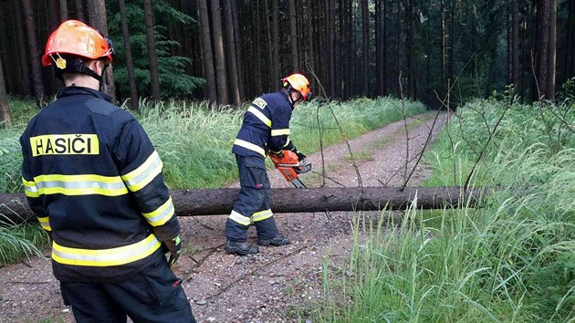 Vce jak tyicetkrt vyjdli jihomoravt hasii bhem tvrtka odstraovat nsledky bouky. Nejastji erpali zatopen prostory a odstraovali popadan vtve a stromy.