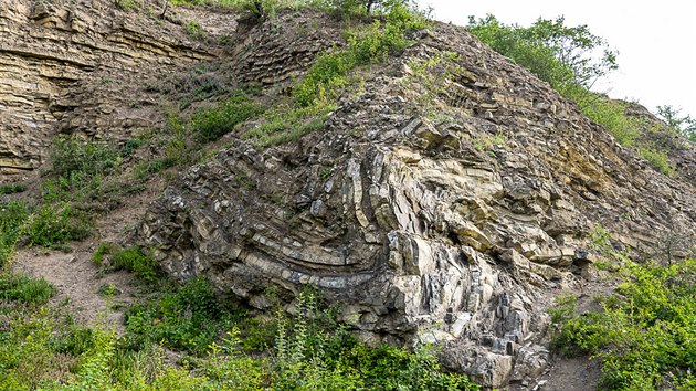 Vrezervaci Homolka najdeme mezinrodn vznamnou geologickou lokalitu.
