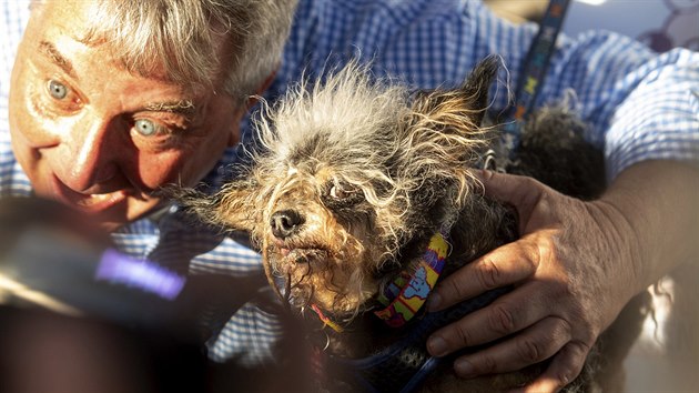 Toulavý Rošťák je hrdým vítězem klání o nejošklivějšího psa světa. (21. 6. 2019)