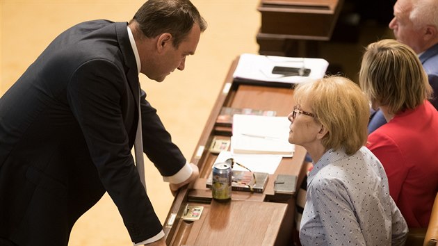 Radim Fiala a Helena Válková během hlasování o důvěře vlády (26. 6. 2019).