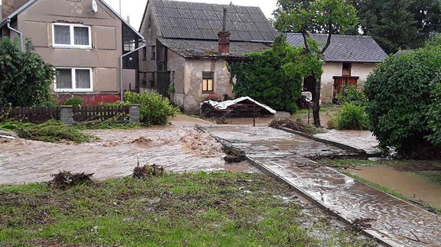 Siln bouky potrpily esko. Na Olomoucku zatopily sklepy a vyvracely stromy. (19. ervna 2019)