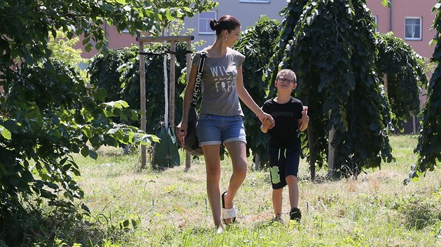 V nov sti lovosickho lesoparku Osmika, kde v loskm roce msto nechalo vysadit 27 strom, zane vstavba mlatovch cestiek.