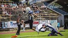 Steelers jsou v Paddock lize na vít�zné vln�