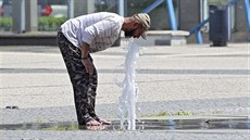 Mu se chladí u fontány v centru Olomouce. (26. ervna 2019)