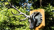 Lov zaizoval partner ve spolenosti Wood & Company Jan Sýkora (na snímku), který byl významným sponzorem prezidentské kampan Petra Pavla.