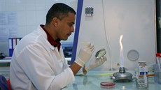 Laboratorní technici Lékařů bez hranic v nemocnici v Adenu zjišťují, zda se u...
