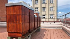 Pět včelstev v plné práci na střeše Státní veterinární správy na pražských...