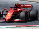 Charles Leclerc z Ferrari bhem Velké ceny Rakouska.
