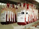 Transfuze krve - Koncentrty ervench krvinek se uchovvaj v chladov komoe...