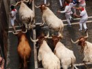 Lidé prchají ped býky ve panlské Pamplon. (7. ervence 2019).