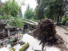 Nsledky pondln boue na hbitov v Prostjov, kde vichr vyvrtil dva...