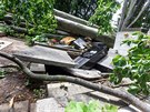Nsledky pondln boue na hbitov v Prostjov, kde vichr vyvrtil dva...