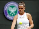 Karolína Muchová se rozcviuje ped tvrtfinále Wimbledonu.
