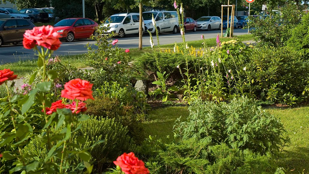 Krásné dvorky a rozkvetlé předzahrádky umí potěšit i kolemjdoucí