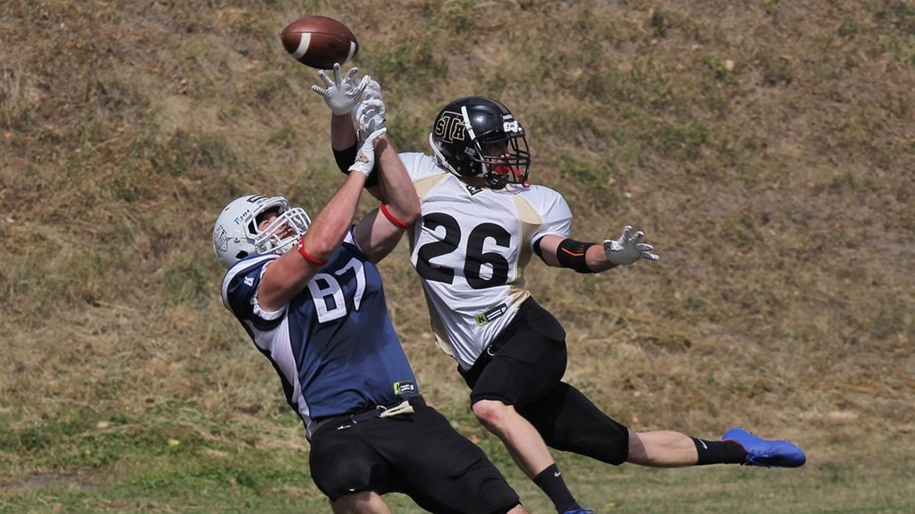 Seznamka Steelers