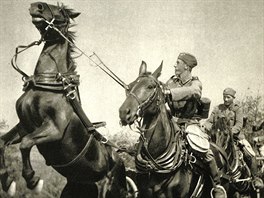 Československá armáda 1918 - 1939. Stěžejním dopravním prostředkem naší...