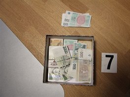 VIDEO: Gauč podezřelého cizince skrýval 21 milionů korun v bankovkách