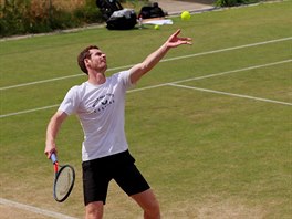 Andy Murray pi trninku na Wimbledon.