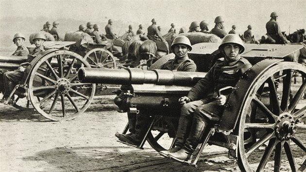 �eskoslovensk� arm�da 1918 - 1939, hipotrakce d�lost�eleck�ch zbran�