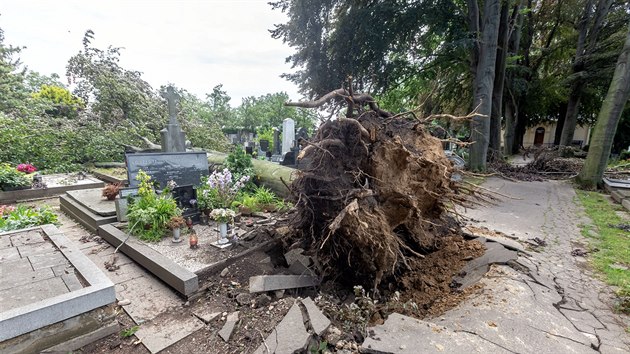 Následky pondělní bouře na hřbitově v Prostějově, kde vichr vyvrátil dva vzrostlé stromy, které poničily desítky hrobů. (2. července 2019)
