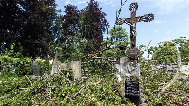 Následky pondělní bouře na hřbitově v Prostějově, kde vichr vyvrátil dva vzrostlé stromy, které poničily desítky hrobů. (2. července 2019)