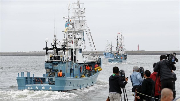 Japonsk velrybsk flotila vyplouv na komern lov velryb z pstavu Kuir(1. 7. 2019)