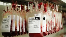 Transfuze krve - Koncentráty ervených krvinek se uchovávají v chladové komoe...