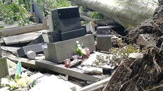 Vyvrácené stromy pi boui zniily v Prostjov desítky hrob