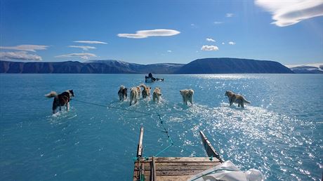 Tým vdc psobících v Grónsku zveejnil snímek, na kterém se psí speení...