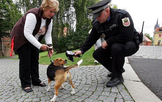 Strážník zjišťuje, zda je pes označen čipem.