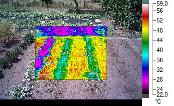 Zahrada se záhony a holou pdou (teplota pi mení  cca 23°C)