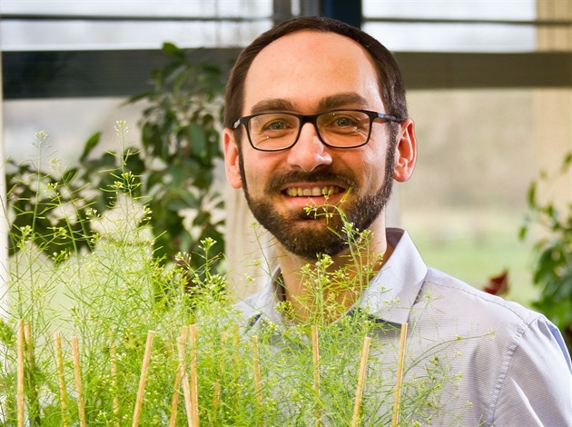 Japonci už mají protistresové rajče, vyzdvihl genetickou modifikaci odborník