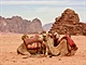 Wadi Rum odedvna pat bedunm. Ti se o nj dnes dl stle astji...