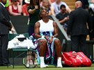 Amerianka Serena Williamsová bhem finále Wimbledonu.