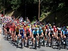Pohled na peloton bhem osmé etapy Tour de France.