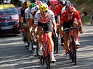 Skupina uprchlík bhem deváté etapy Tour de France, vede ji Jasper Stuyven z...