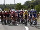 Peloton bhem jedenácté etapy Tour de France, na ele jedou cyklisté týmu...