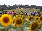 Peloton bhem 11. etapy Tour de France.