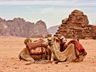 Wadi Rum odedávna patí beduínm. Ti se o nj dnes dlí stále astji...