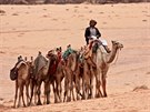 Wadi Rum odedávna patí beduínm. Ti se o nj dnes dlí stále astji...