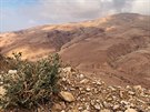 Navzdory hornaté krajin jsou v Jordánsku kvalitní cesty. Hrav je zvládnete i...