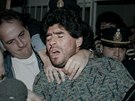 DO KINA: Fotbalu vládne Diego Maradona, africké savaně Lví král