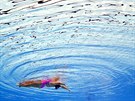 AKVABELA. Britka Kate Shortmanová soutí na plaveckém svtovém ampionátu v...