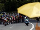 Momentka z 10. etapy Tour de France