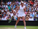 Simona Halepová slaví vítzný balon v semifinále Wimbledonu.
