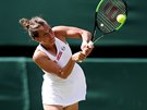 Return Barbory Strýcové v semifinále Wimbledonu